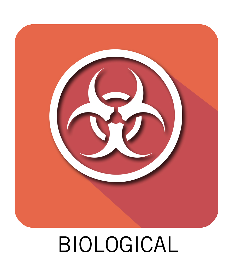 Biological icon